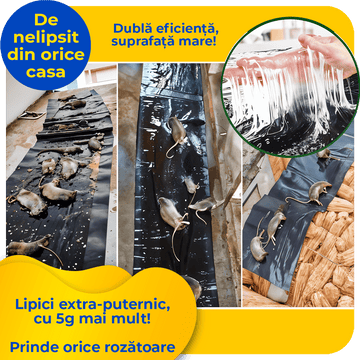OFERTA Capcana Lipici Soareci - set 2 buc (1,2m)