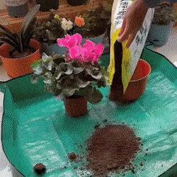 OFERTA Husa Speciala Pentru Plantat DANGRO